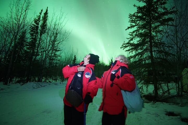 Whitehorse Northern Lights & Yukon Wildlife Tour: AuroraCentre Evenings and Wildlife Preserve photo 3