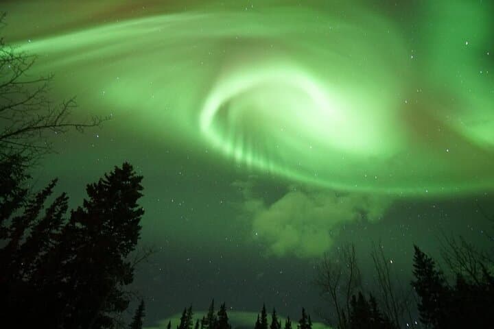 Whitehorse Northern Lights & Yukon Wildlife Tour: AuroraCentre Evenings and Wildlife Preserve photo 4