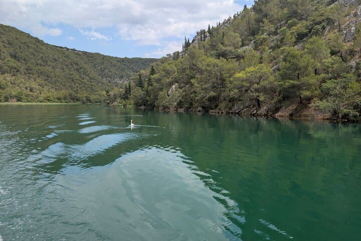 Explore Split on a Private Guided Tour: History, Culture, and Coastal Charm photo 4