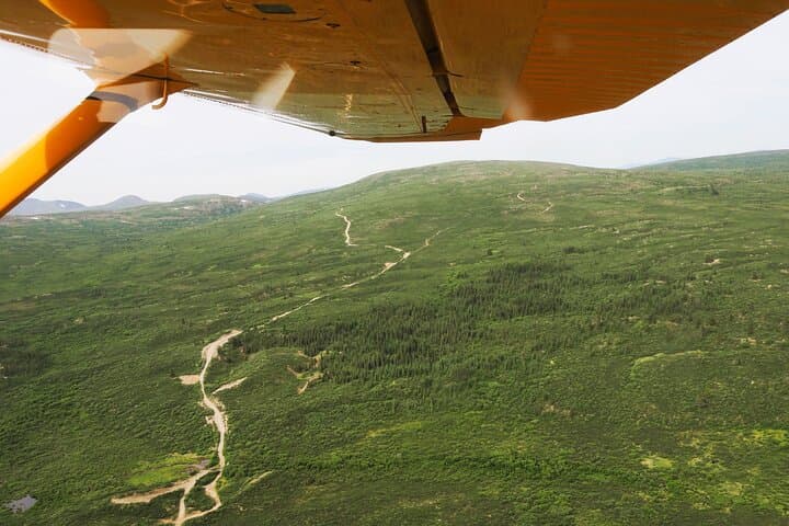 Exploring Yukon’s Wild Heart: A 5-Day Active Summer Adventure photo 2