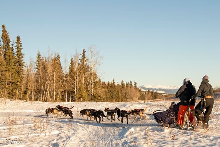 5-Day Active Winter Adventure in Yukon: Snowmobiling, Dog Sledding & Northern Lights photo 2