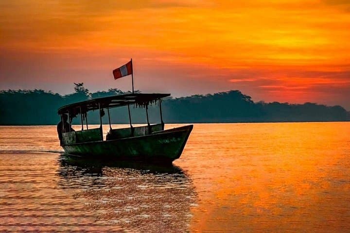 3-Day Amazon Eco Adventure from Puerto Maldonado — Tambopata Lodge & Wildlife photo 4