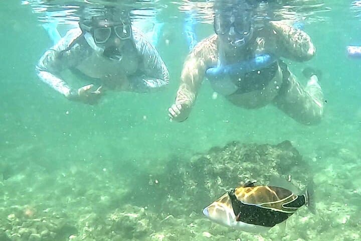 Waikiki Shore Snorkel: Many Fish, Free Photos & Video photo 4