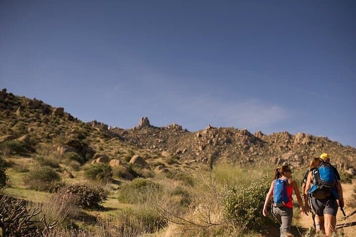 Tom's Thumb Guided Hike — Half-Day Sonoran Desert Experience in Scottsdale photo 4