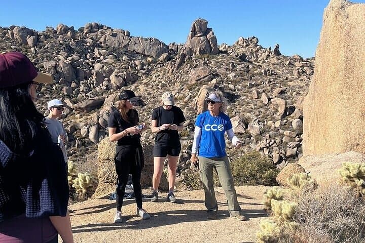 Tom's Thumb Guided Hike — Half-Day Sonoran Desert Experience in Scottsdale photo 5