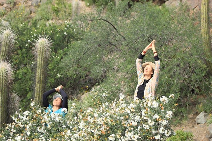 Elqui Valley Wellness Hike & Mountain Retreat near Vicuña, Chile