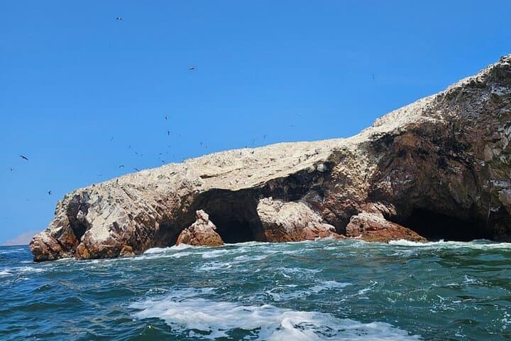 Huacachina Day Trip from Lima: Ballestas Islands, Pisco Tasting, Dune Buggy & Sandboarding photo 4