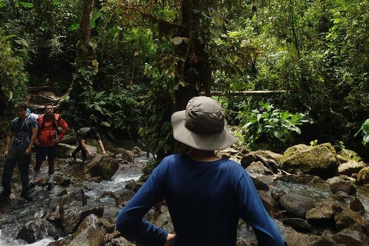 Mindo Cloudforest Day Trip from Quito — Hummingbirds, Waterfalls & Nanegalito Market photo 4