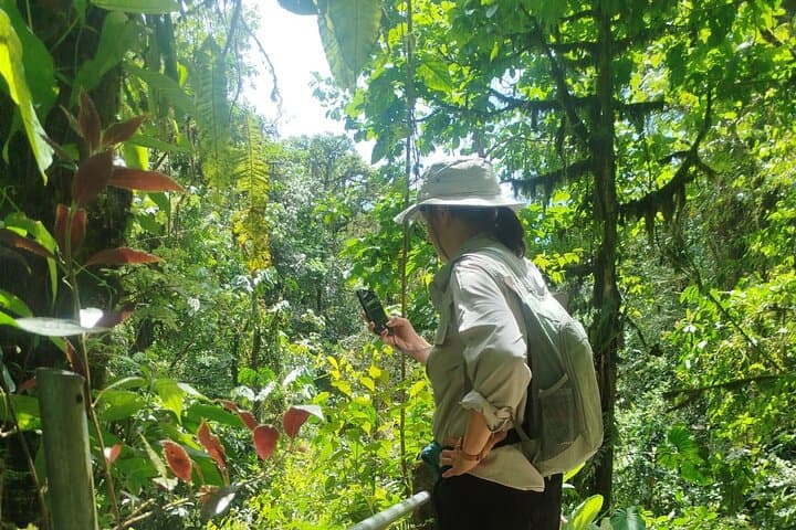 Mindo Cloudforest Day Trip from Quito — Hummingbirds, Waterfalls & Nanegalito Market