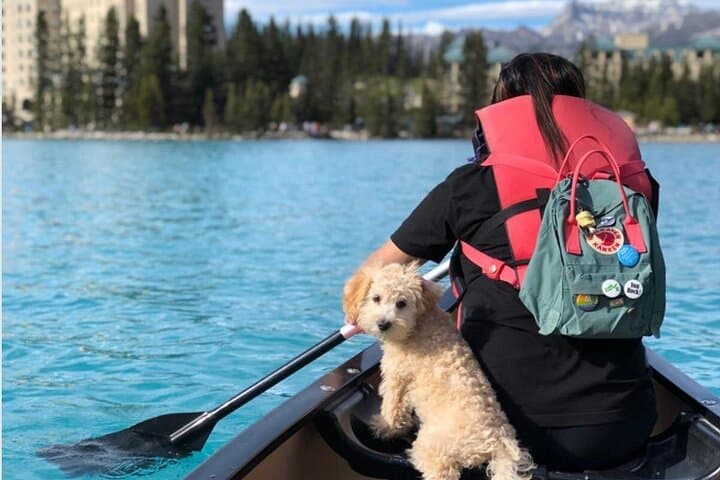 Moraine Lake & Lake Louise Shuttle from Banff — Iconic Views Without the Parking Hassle photo 3