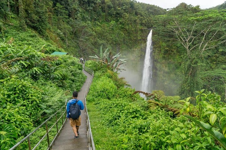 Exploring Hilo’s Waterfalls and Cultural Highlights: A Private Big Island Shore Tour photo 6