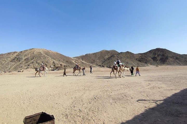 Hurghada Desert Super Safari: ATV, Buggy & Bedouin Dinner Under the Stars