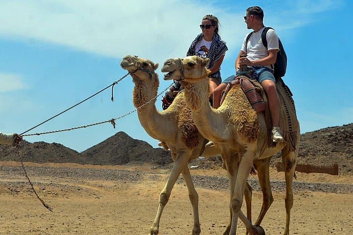 Hurghada Desert Super Safari: ATV, Buggy & Bedouin Dinner Under the Stars photo 6