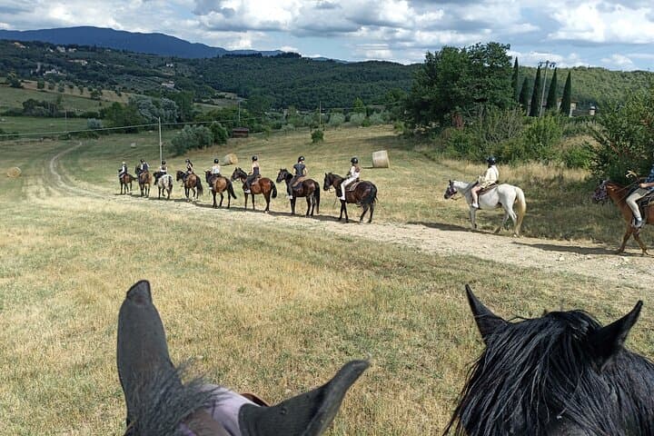 Horseback Riding Through Chianti Vineyards: A 90-Minute Tuscan Trail Ride photo 4