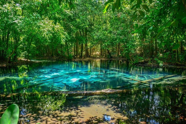 Krabi Jungle Escape: Emerald Pool, Hot Springs & Tiger Cave Temple Day Tour photo 2