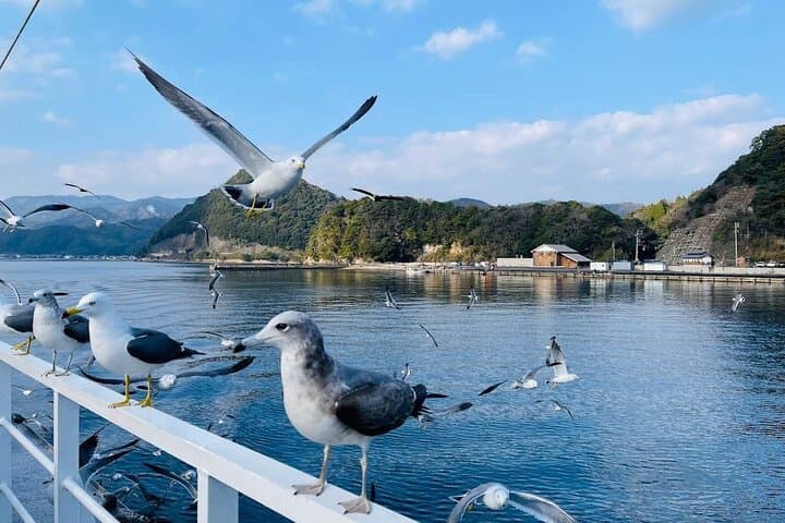 Private Amanohashidate & Ine Bay Day Tour: Viewland, Funaya Boat Cruise photo 5