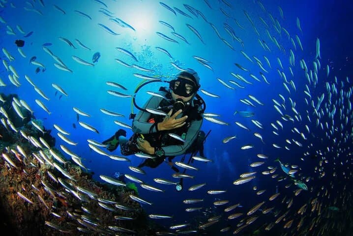 Fethiye Scuba Diving Adventure: Two Boat Dives with Lunch photo 3