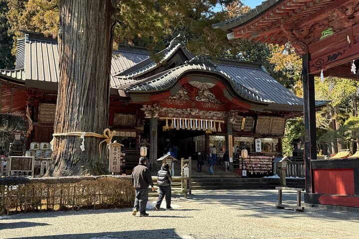 Private Mount Fuji Day Tour from Tokyo: Lakes, Pagodas & Panoramic Views photo 3