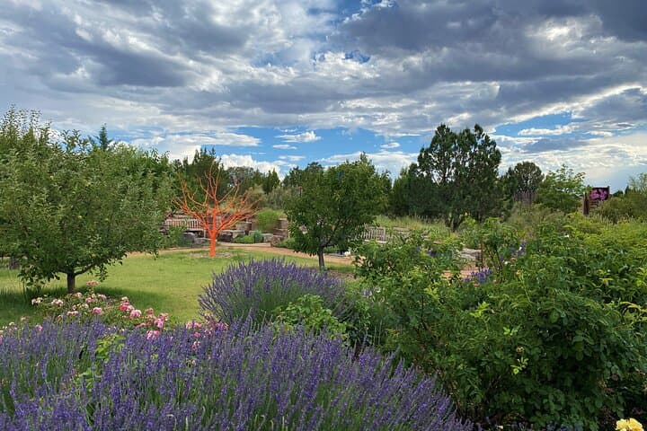 Explore Santa Fe Botanical Garden: 19-Acre Native Plant Walk & Sculpture Trail photo 2