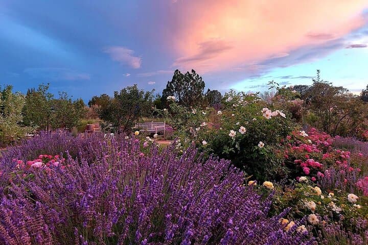Explore Santa Fe Botanical Garden: 19-Acre Native Plant Walk & Sculpture Trail photo 3