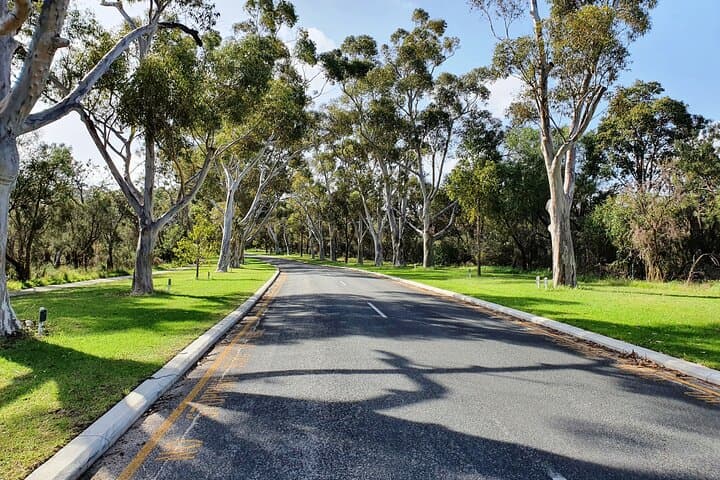 Pedals & Petals: Guided Wildflower Bike Tour in Kings Park, Perth photo 2