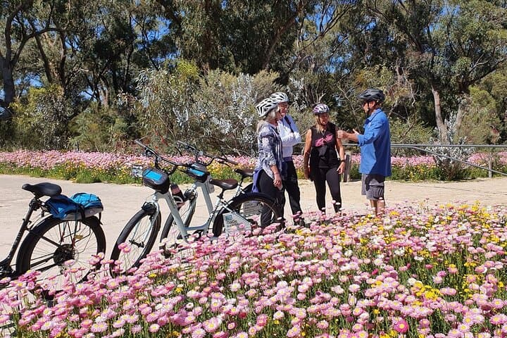 Pedals & Petals: Guided Wildflower Bike Tour in Kings Park, Perth photo 1