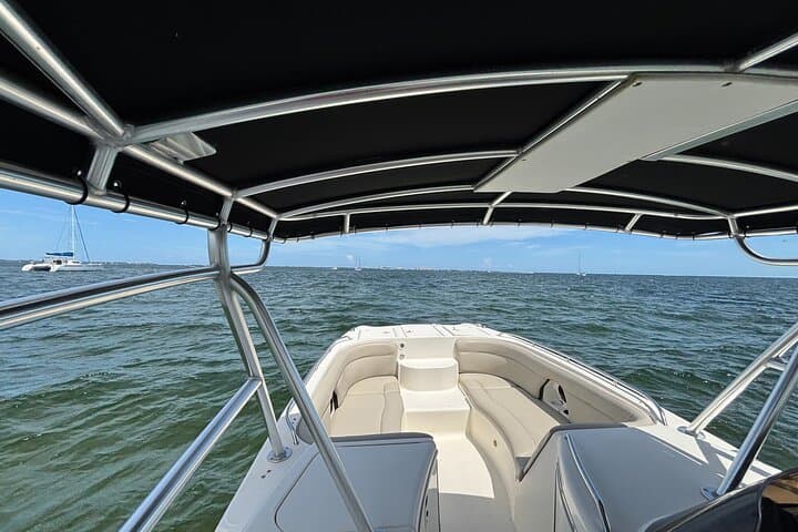 Private 27ft Miami Catamaran: 3-Hour Biscayne Bay Charter photo 5