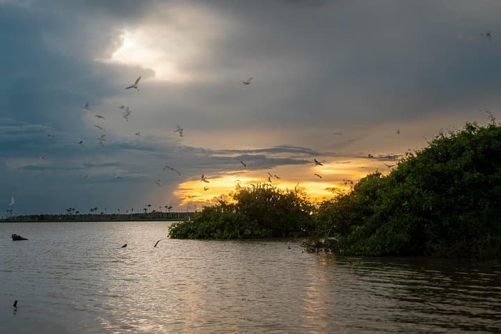 Bolivian Amazon Wildlife Safari: Rurrenabaque & Yacuma River (3–4 Days) photo 3