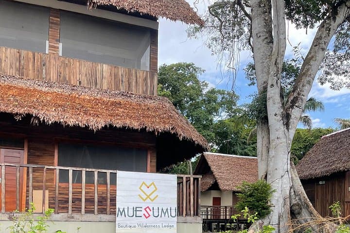 Bolivian Amazon Wildlife Safari: Rurrenabaque & Yacuma River (3–4 Days) photo 2