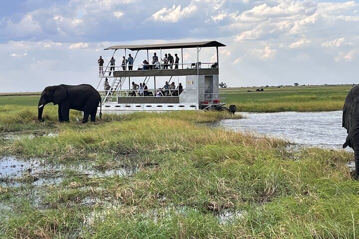 Full-Day Chobe Safari: Game Drive and Chobe River Cruise from Livingstone photo 3
