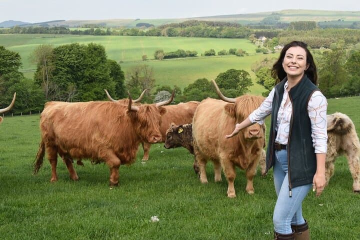 Meet Highland Cows: Hands-On Farm Experience in the Scottish Borders photo 4