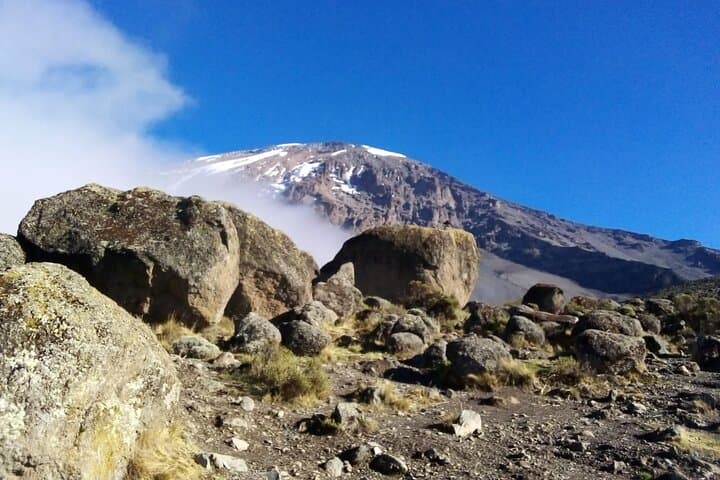Conquer Kilimanjaro: The 8-Day Lemosho Route Adventure to Africa’s Roof photo 6