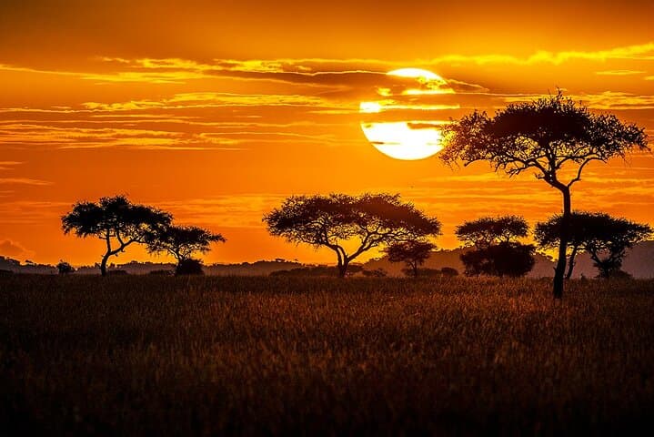 6-Day Luxury Safari Through Tarangire, Serengeti & Ngorongoro — Big Five & Crater Game Drives photo 2