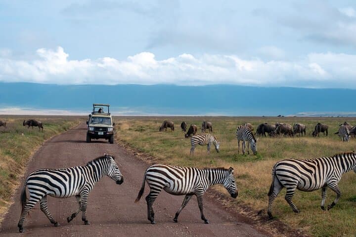 6-Day Luxury Safari Through Tarangire, Serengeti & Ngorongoro — Big Five & Crater Game Drives photo 6