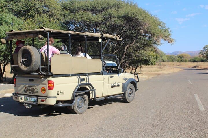 Pilanesberg Big Five Full-Day Safari from Johannesburg: What to Expect photo 4