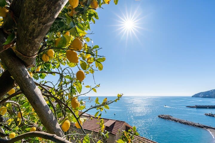 Lemon and Views: Monumental Garden Tour on the Amalfi Coast photo 3