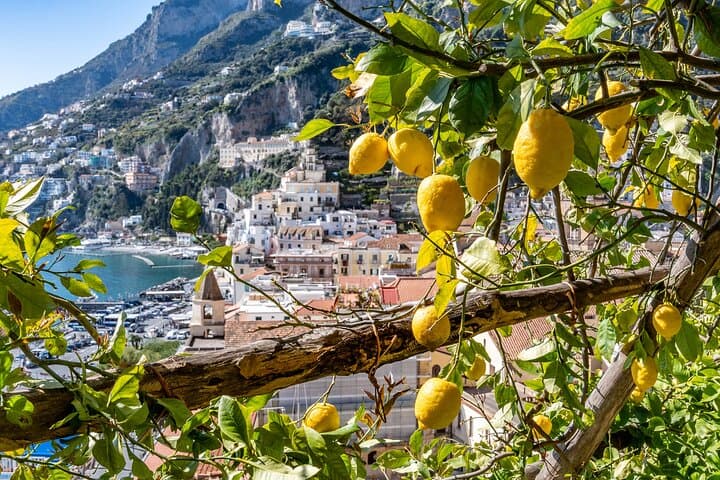 Lemon and Views: Monumental Garden Tour on the Amalfi Coast photo 4