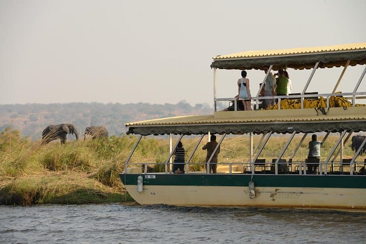 Chobe River Majestic Wildlife Cruise: Exclusive Boat Safari from Kasane photo 3