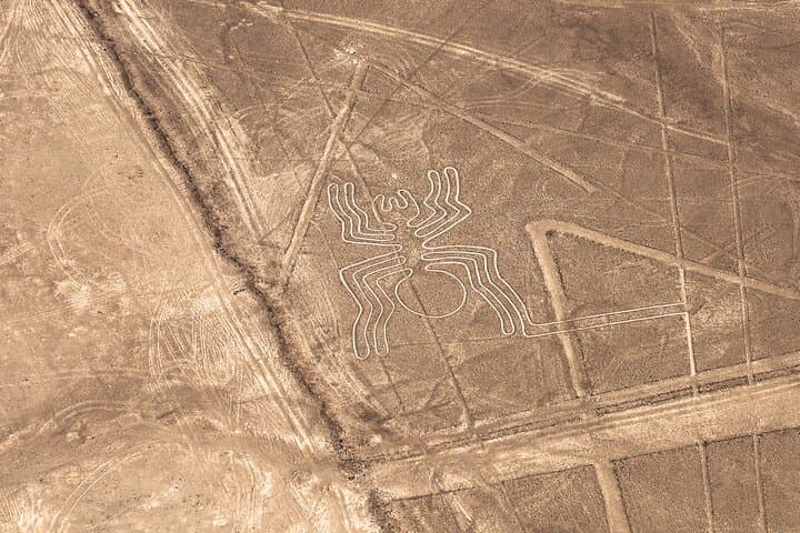 Nazca Lines Flight Day Tour: Aerial View of Peru's Ancient Geoglyphs photo 6