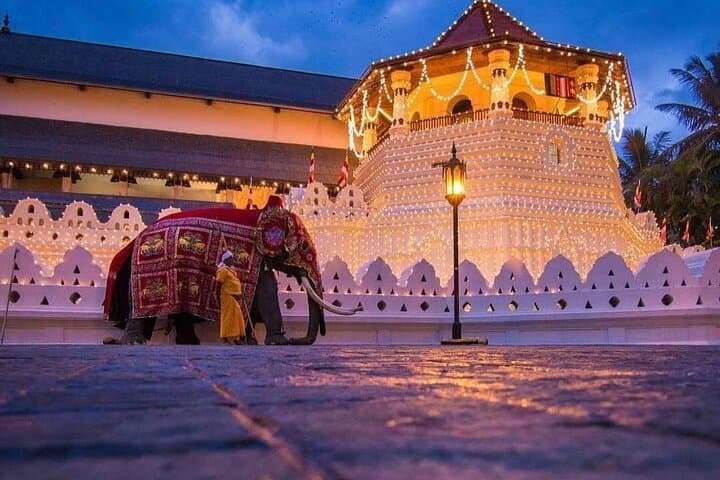 Explore Kandy: Temple of the Tooth, Peradeniya Gardens & Hill-Country Views photo 1