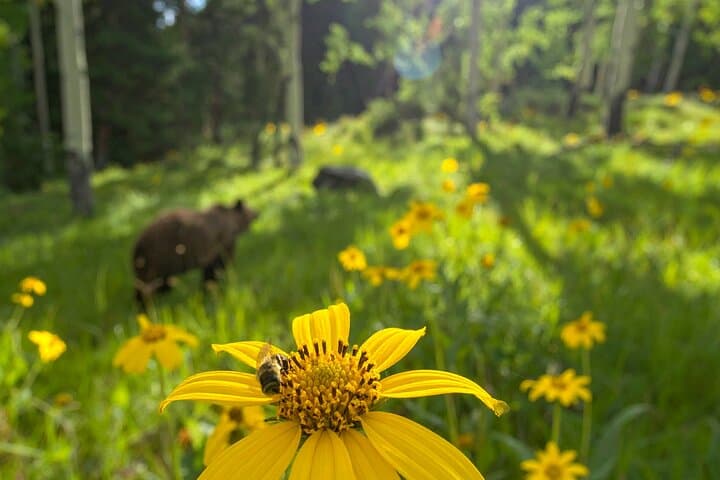 Creative Soul Scavenger Hunt in Durango — Urban Adventure with a Twist photo 3