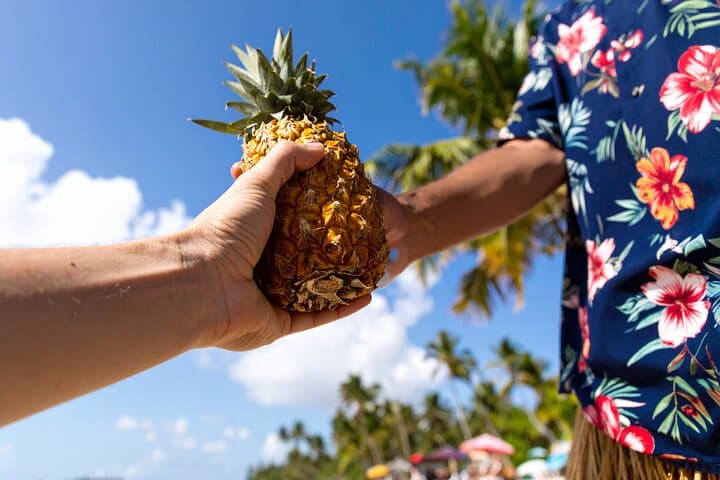 Creative Soul Scavenger Hunt in Waikiki, Oahu — Interactive Walking Game photo 3