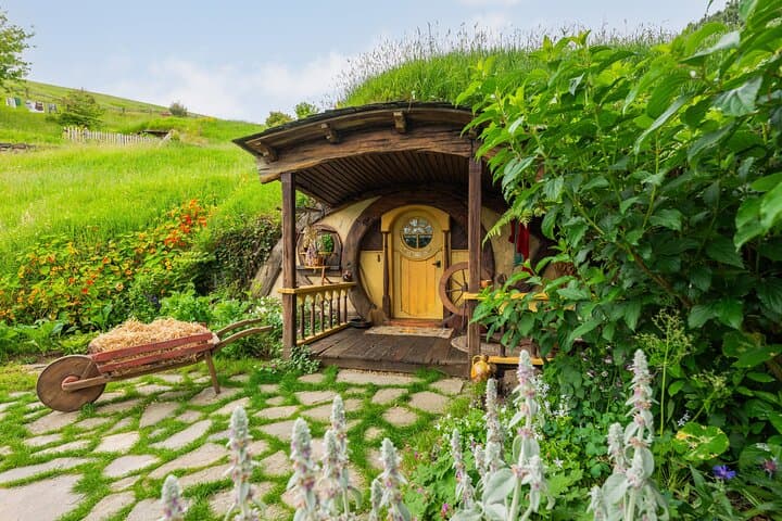 Auckland to Rotorua: Hobbiton & Waitomo Glowworm Small-Group Day Tour photo 4
