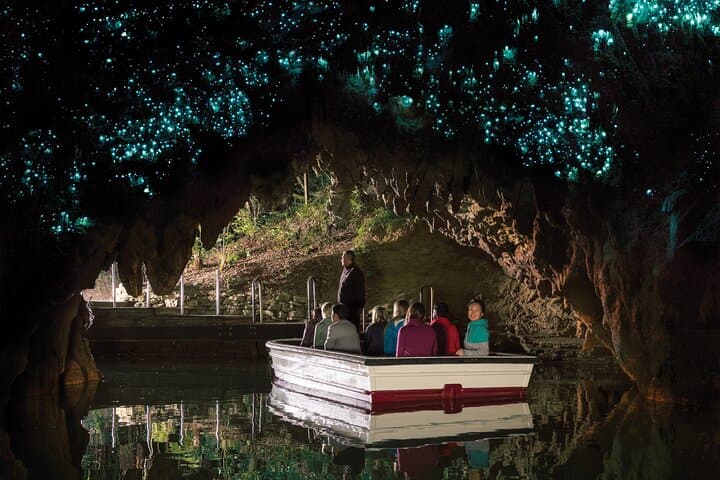 Auckland to Rotorua: Hobbiton & Waitomo Glowworm Small-Group Day Tour photo 6