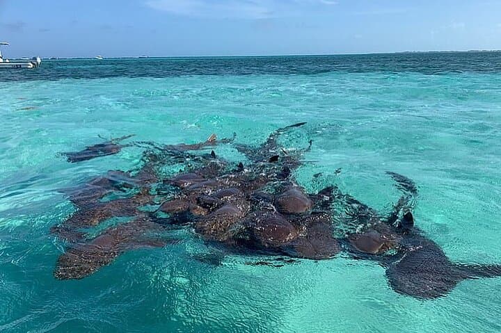 Belize Snorkel, Fishing & Beach BBQ Boat Tour — All-Inclusive Cayes Excursion