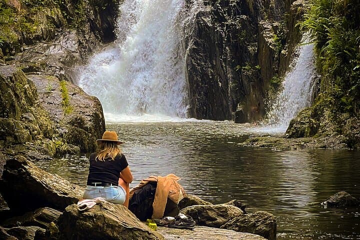 Customize Your Cairns Day: Private Tour to Rainforest, Beaches & Waterfalls photo 6