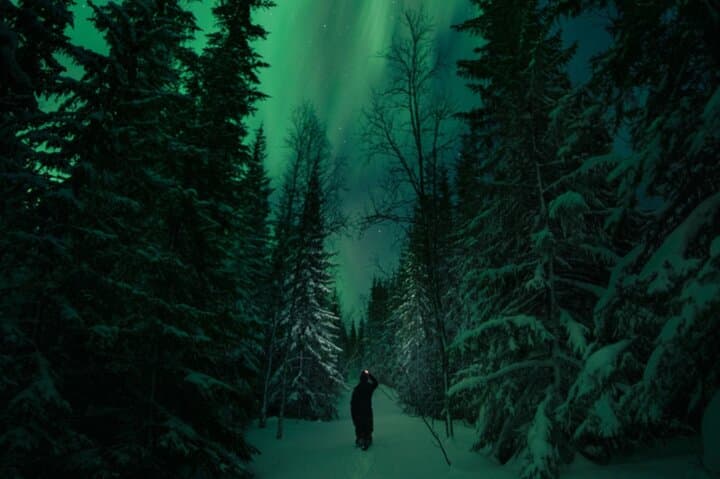 Adults-Only Aurora Hunt: Snowshoeing the Wilderness Near Levi photo 2