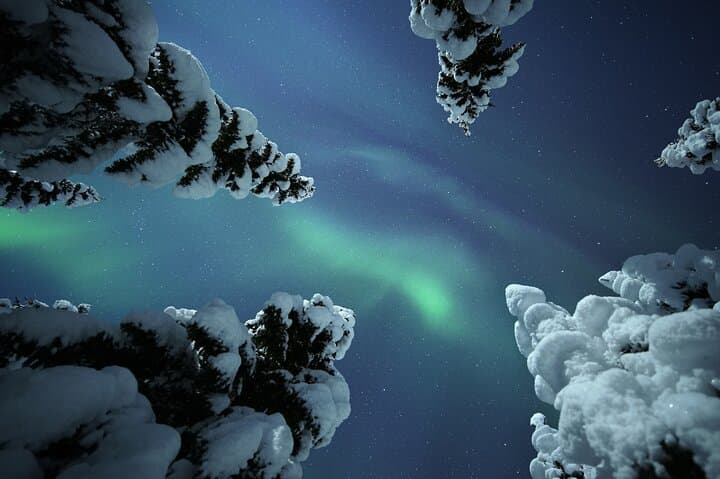 Adults-Only Aurora Hunt: Snowshoeing the Wilderness Near Levi