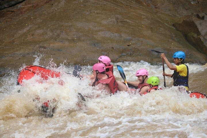 Ethical Elephant Encounter and Mae Taeng White Water Rafting Day Trip