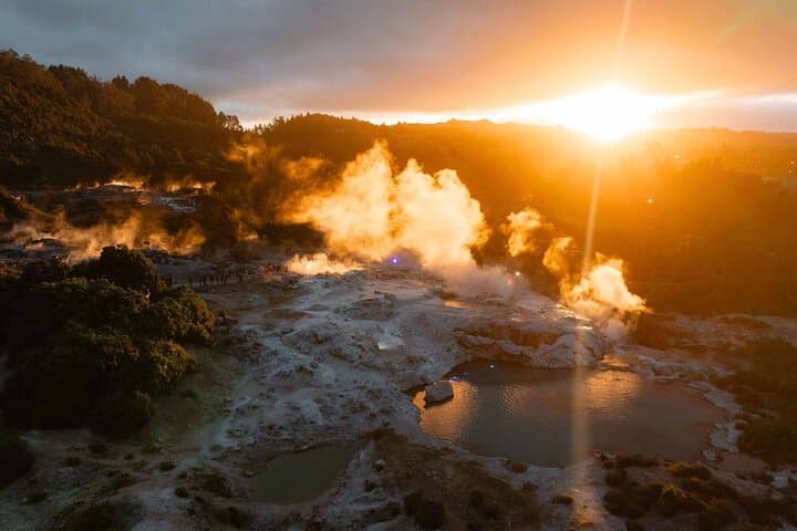 Te Puia Te Pō: Rotorua Evening Māori Cultural Experience & Hāngī Buffet